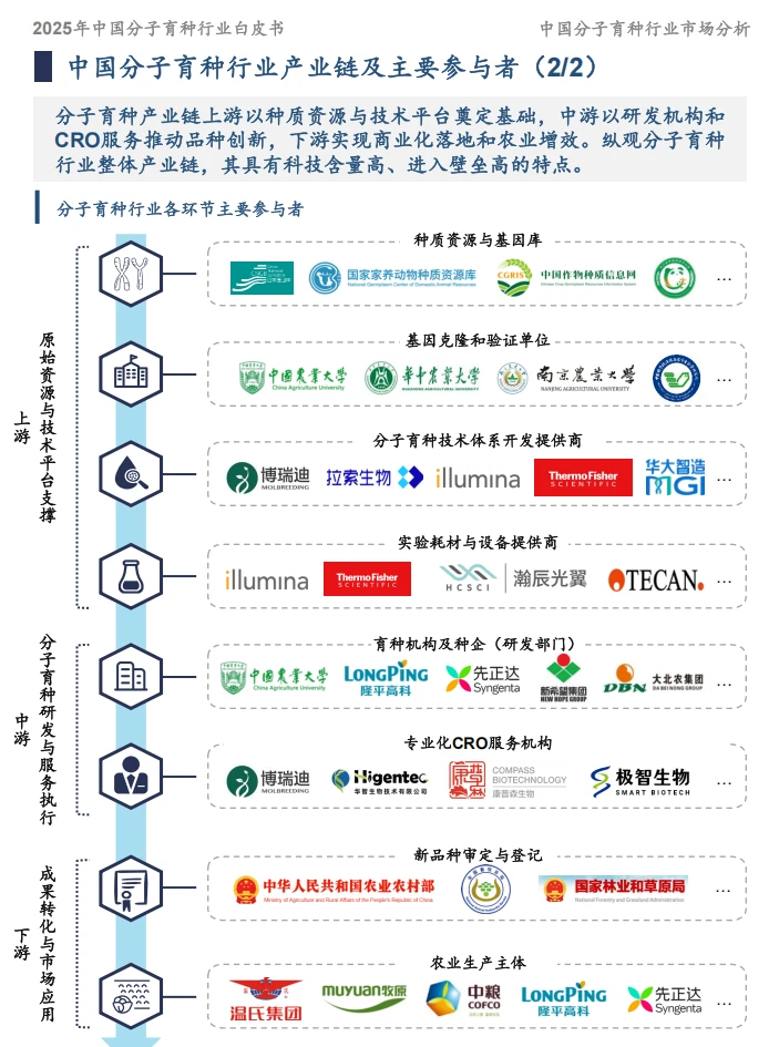 39页报告/2025年中国分子育种市场白皮书