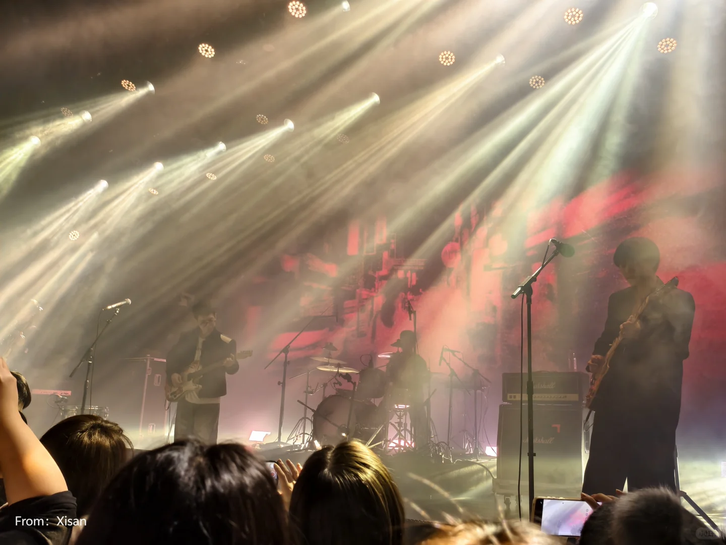 白皮书乐队‼️‼️