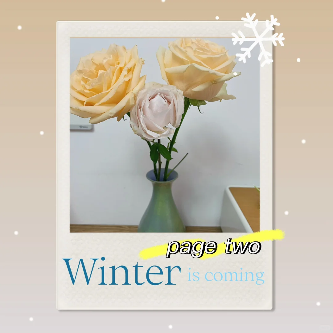 终于可以返校 高一白皮书（二）