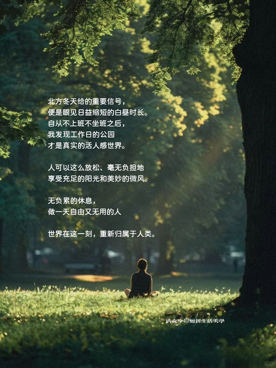 告别传统直销内耗！如新转型的破局思路✨