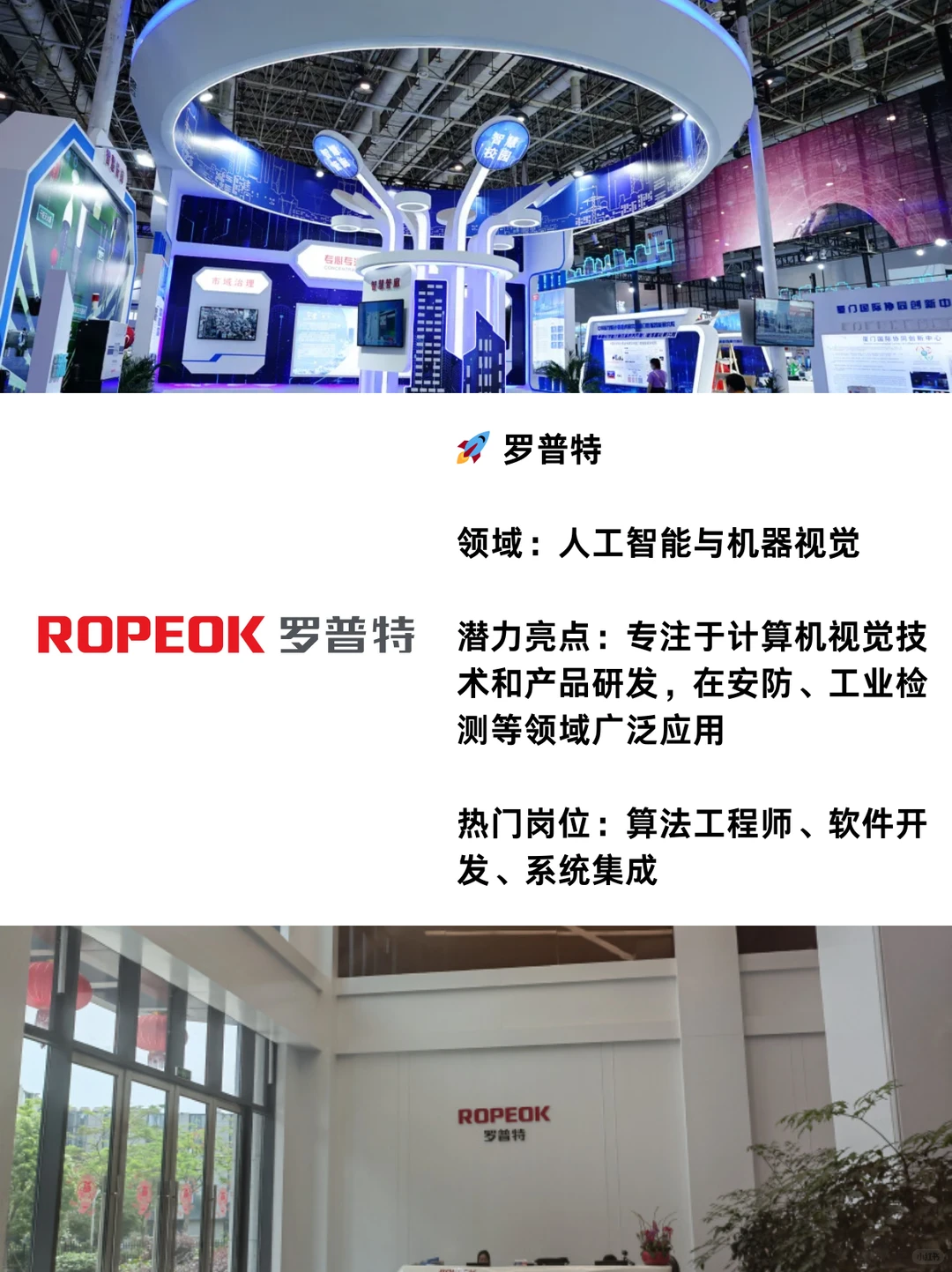 厦门这10家黑马企业，太赞了！极具潜力！