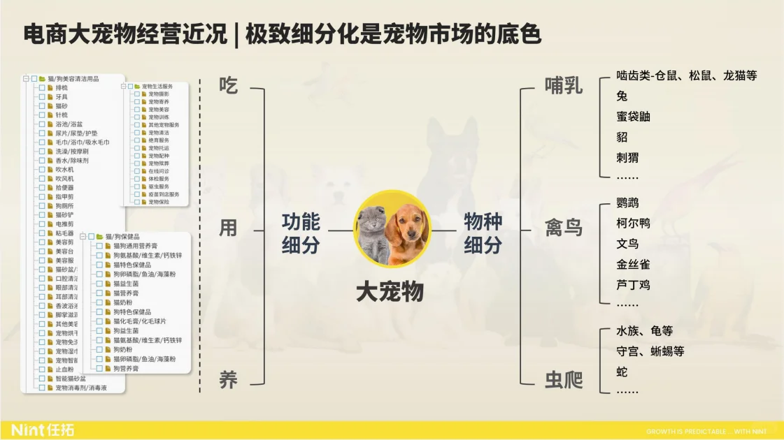 行业报告|520亿市场规模,宠物市场增长惊人