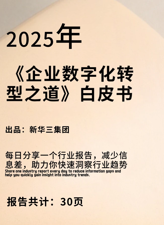 2025年企业数字化转型之道白皮书