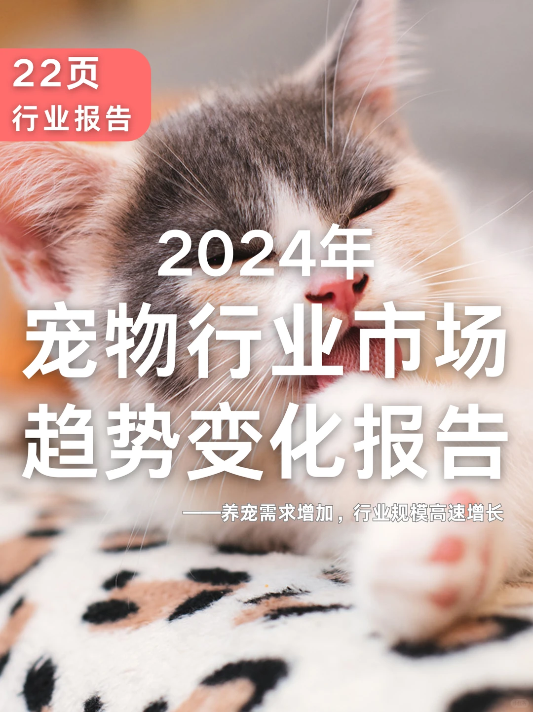 22页报告|2024年宠物行业市场趋势变化报告