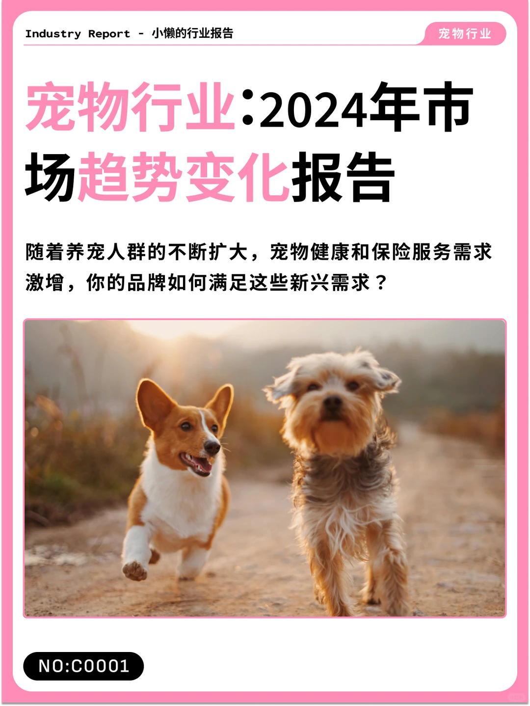 20204年宠物行业市场趋势变化报告| C0001