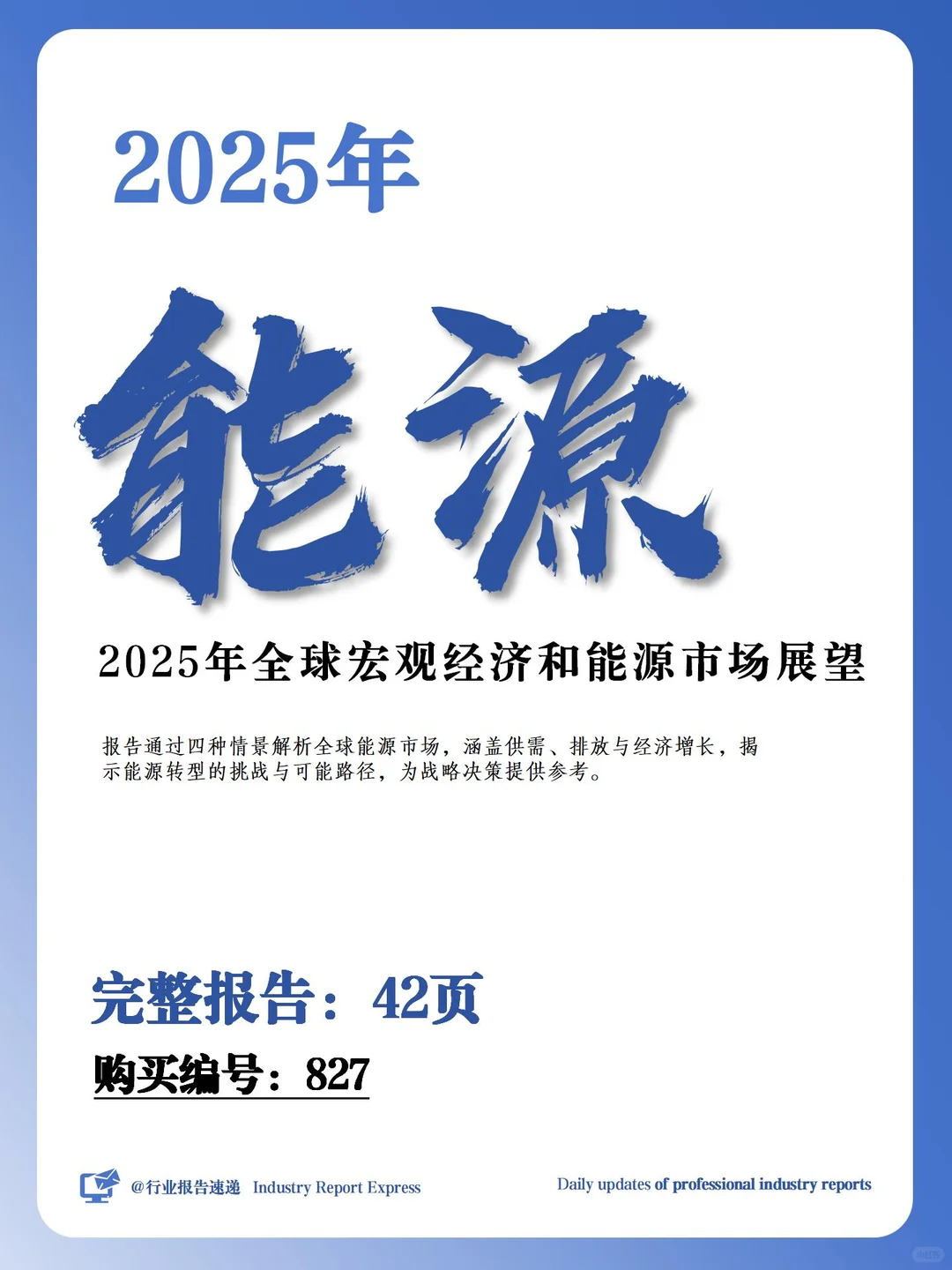 2025 年全球宏观经济和能源市场展望