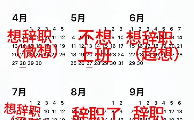 就这样懵懵懂懂过了一年