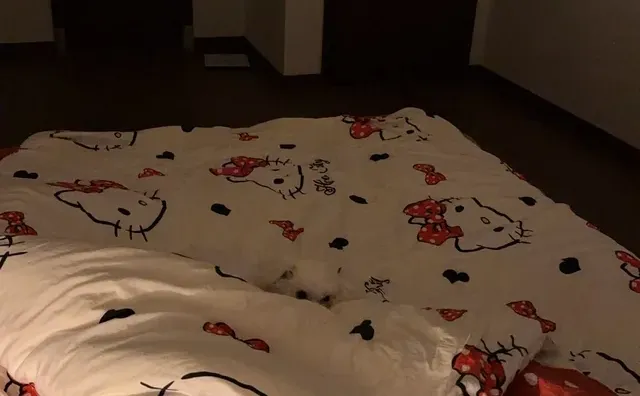 宝宝睡着的时候有爆米花味儿