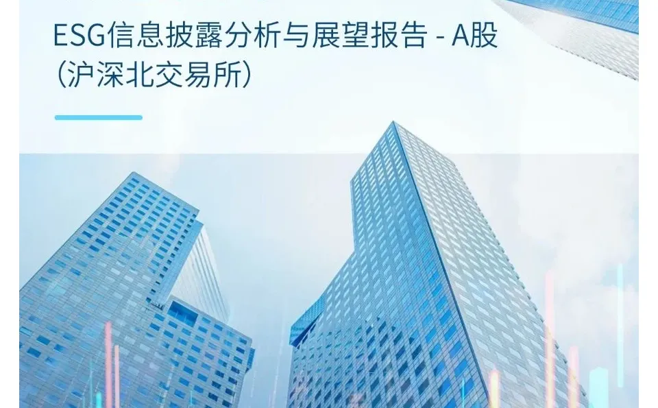 对中国上市公司《2024年度ESG报告》的建议