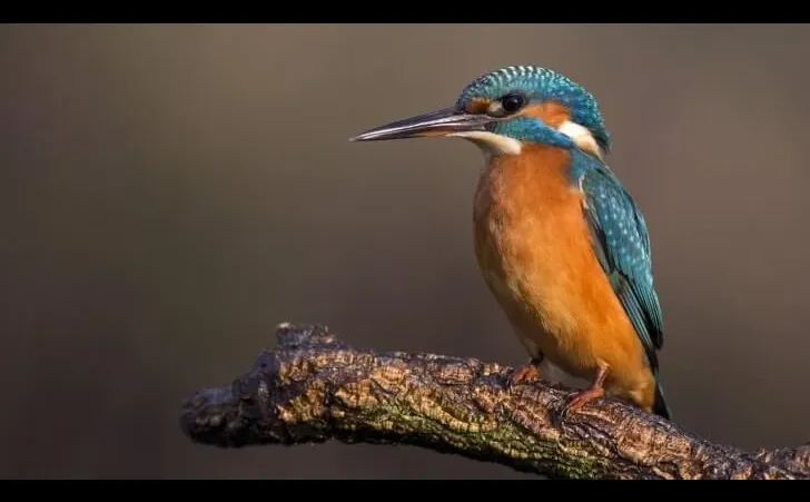 必看！超实用ESG报告编写指南--请收藏--2