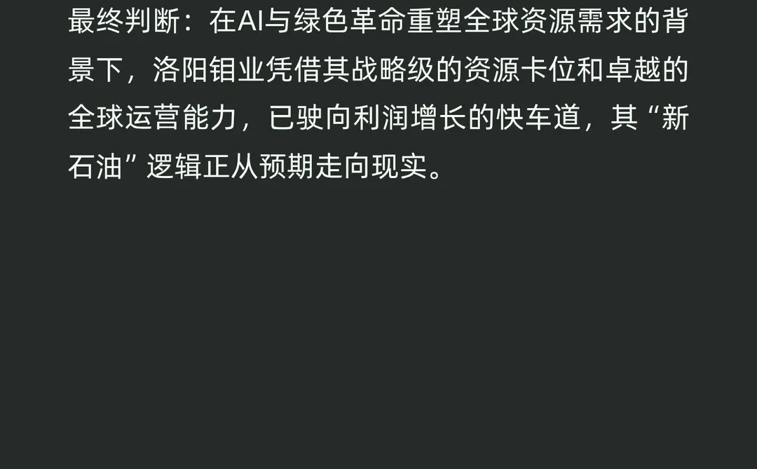 银实投资（广东）有限公司战略分析——洛阳
