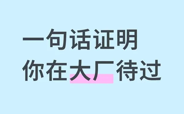 一句话证明你在大厂待过