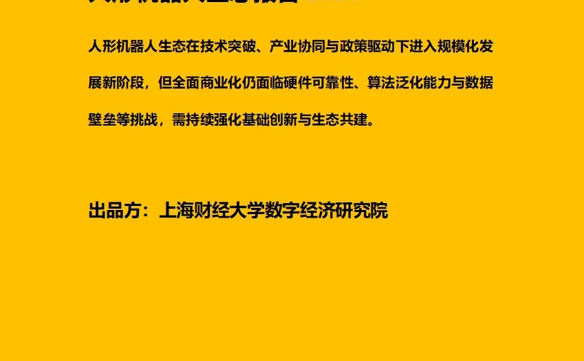 人形机器人生态报告2025 附原文文档