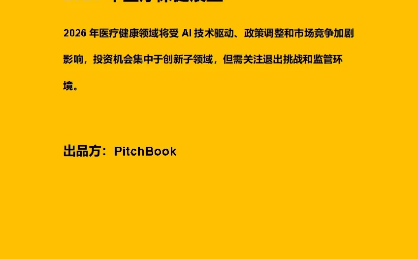 2026年医疗保健展望 附原文文档