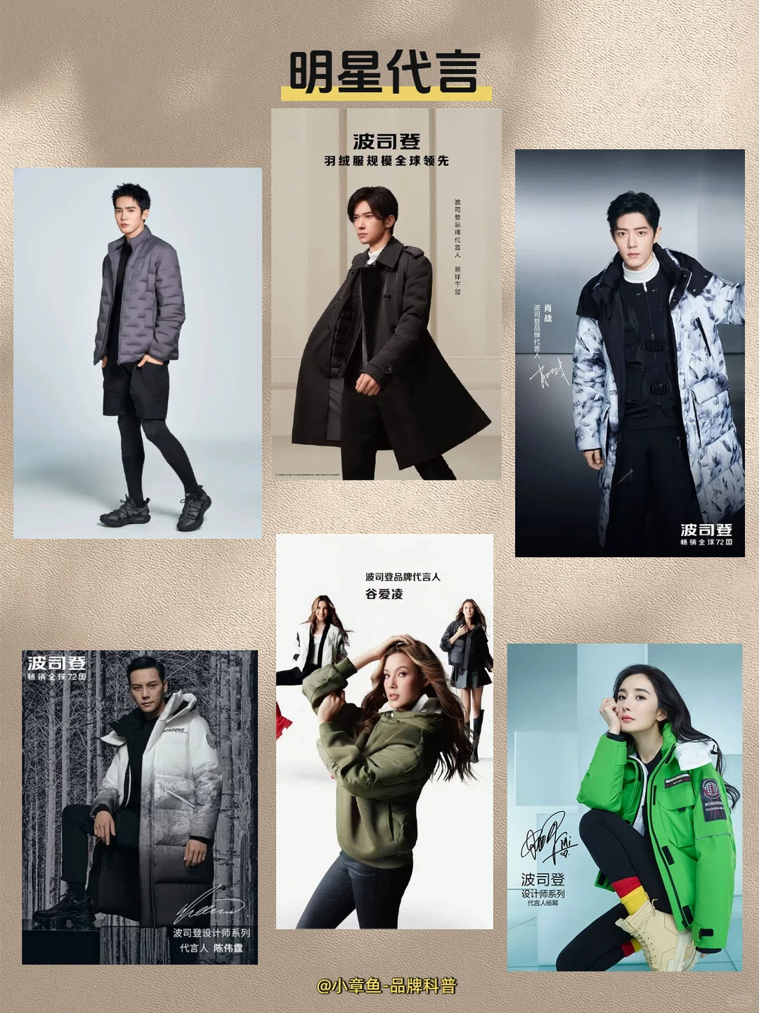 每天认识一个品牌 | 波司登