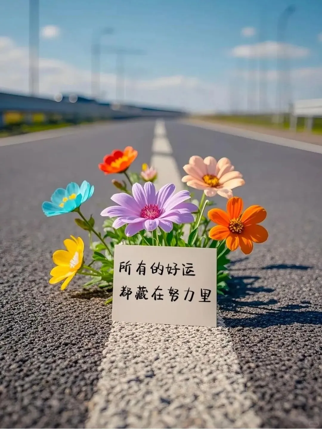 健康管理领域的最新趋势