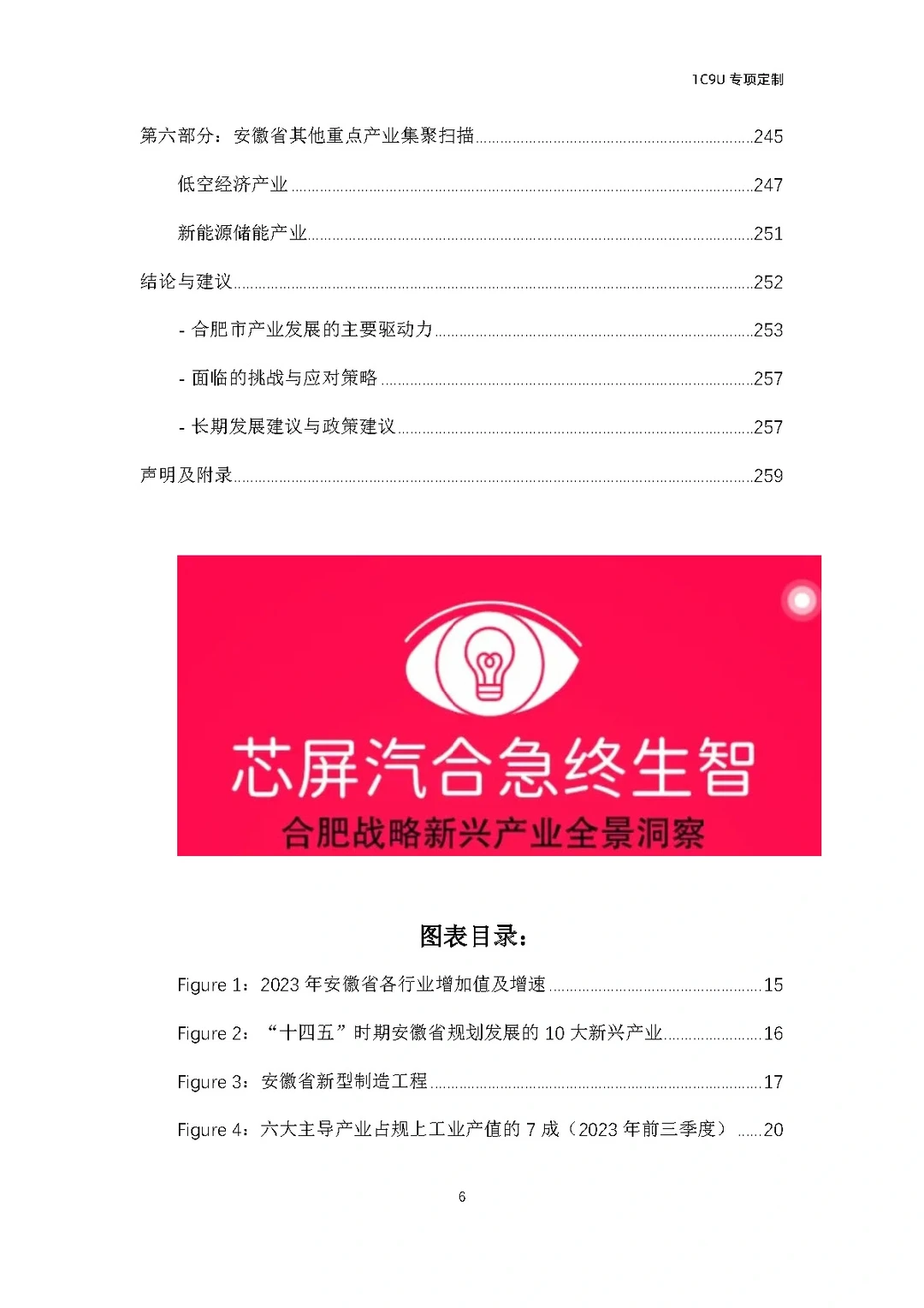 258页报告!合肥十大战略新兴产业全景洞察