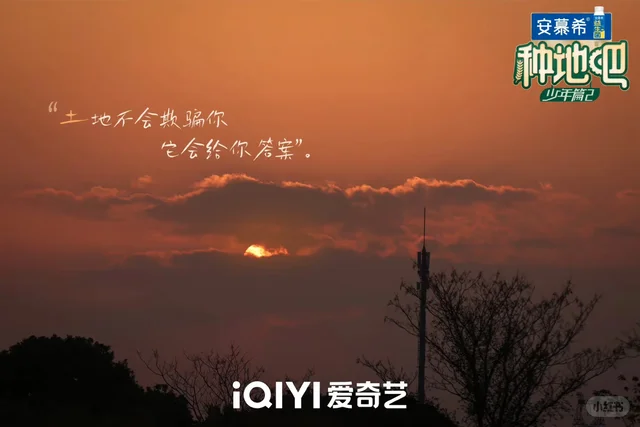 迷茫不知道如何做的时候，学习新的知识或者捡回已忘掉的知识吧[棒R]