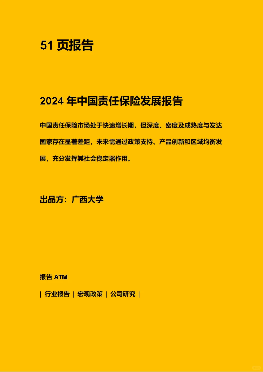 2024年中国责任保险发展报告 附原文文档