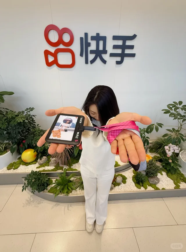 1个赞从快手离职❗️