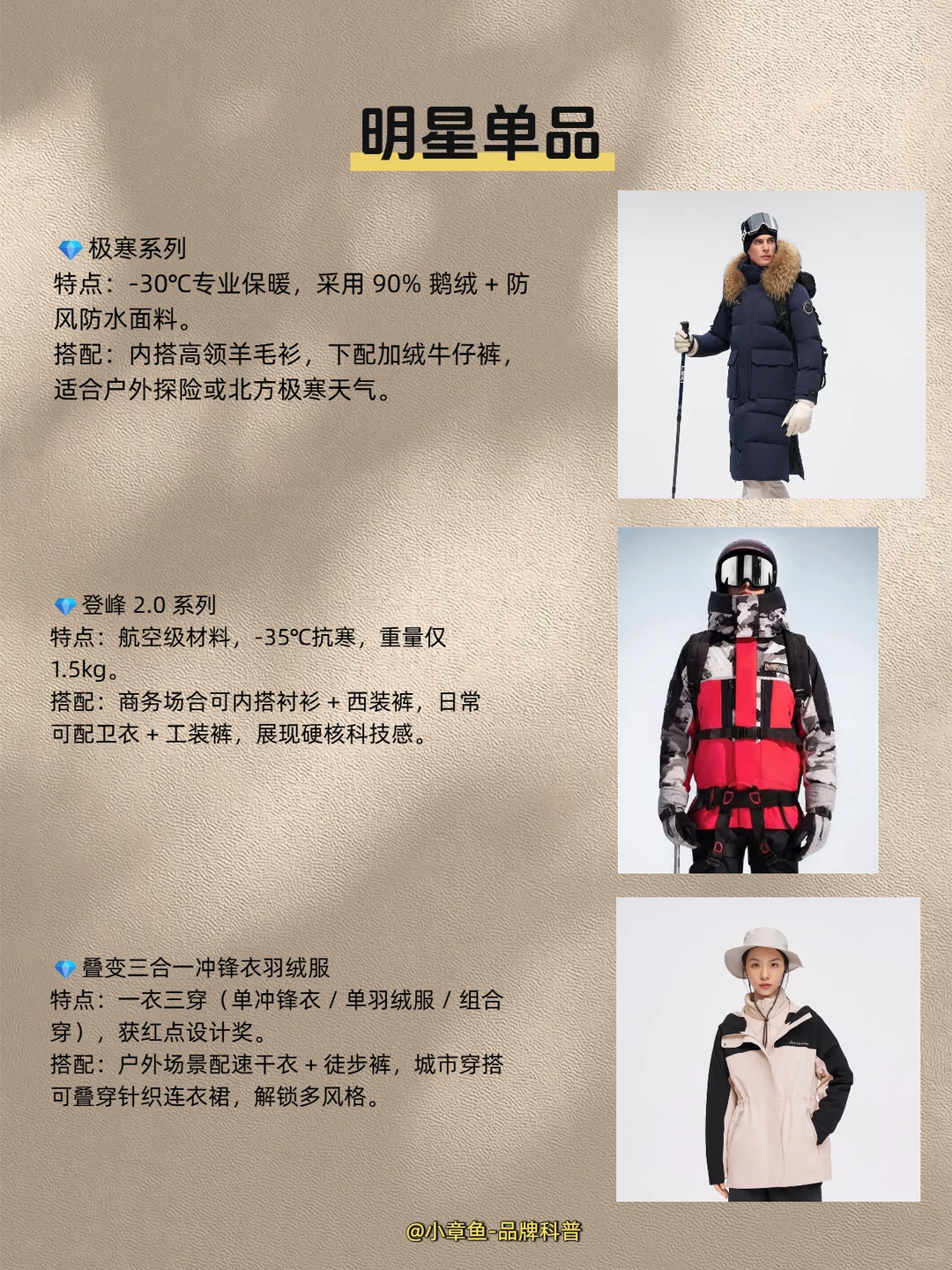 每天认识一个品牌 | 波司登