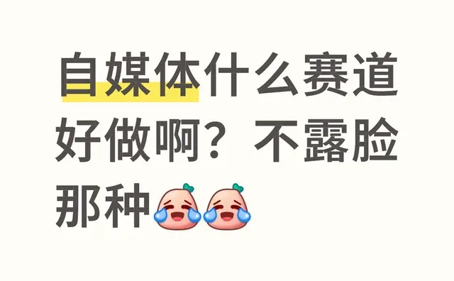 自媒体什么赛道好做啊？不露脸那种