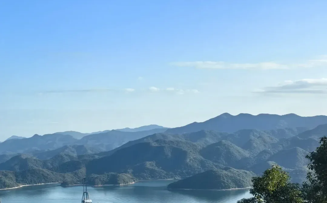 原来你随手分享的网盘链接被保存就有钱