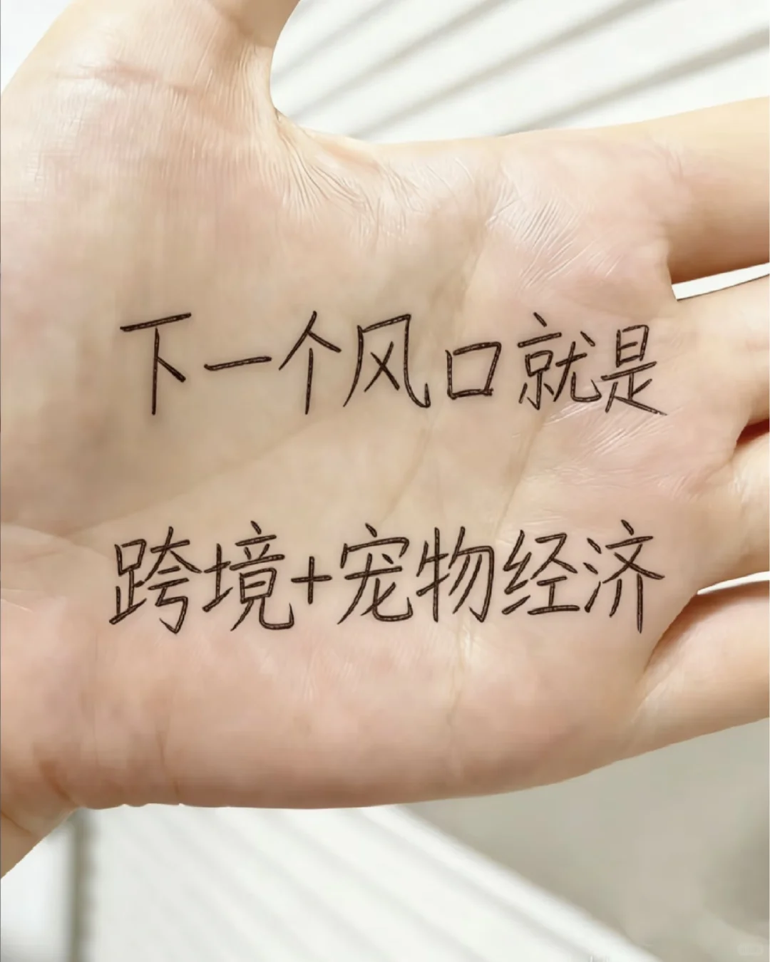 下一个风口就是宠物经济+跨境