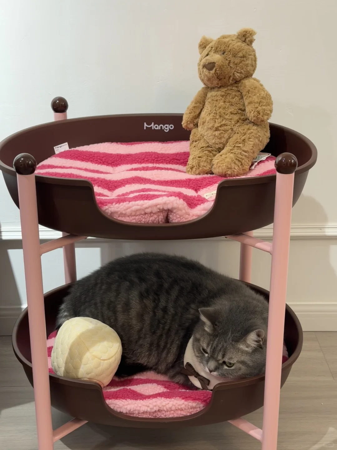 人，do you love 咪？