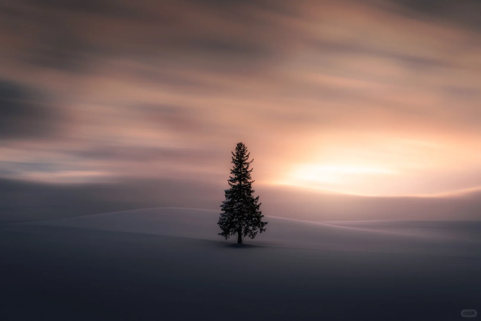 一年一度，圣诞快乐?