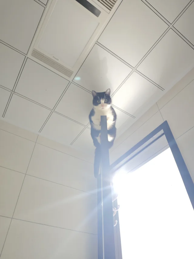 谢谢你我的孩子