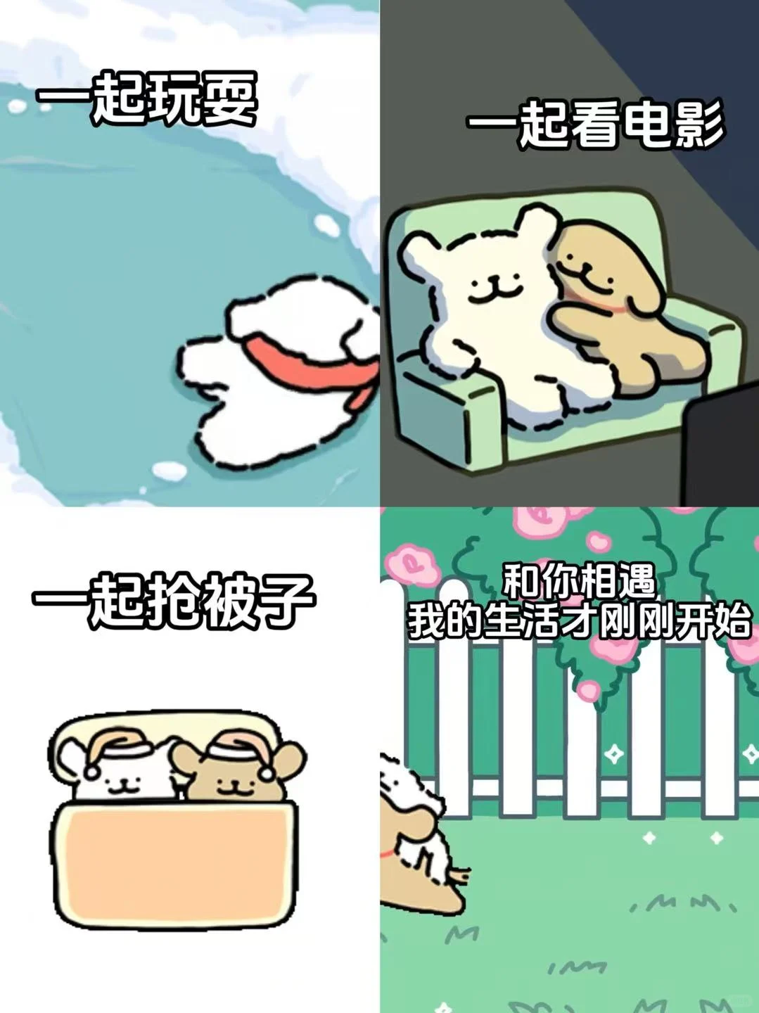 和小白相遇，是鸡毛最大的幸运~