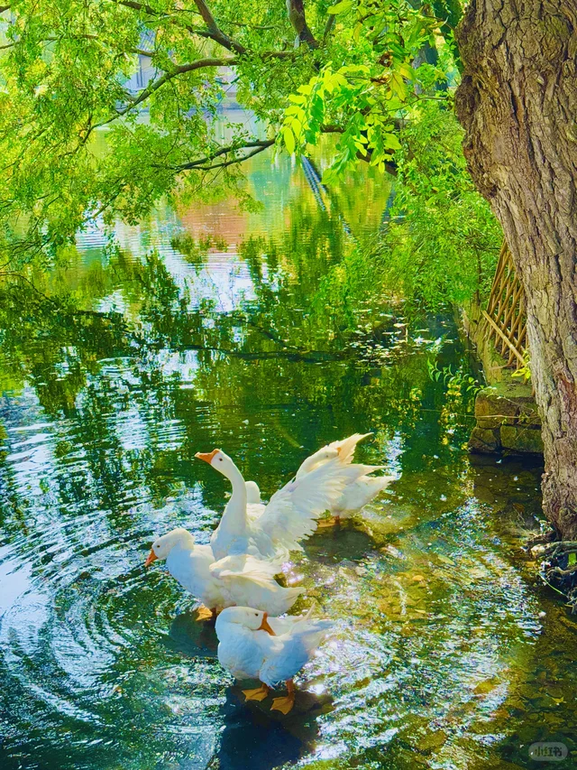 你我都一样，人生都是因为一些瞬间而发光?