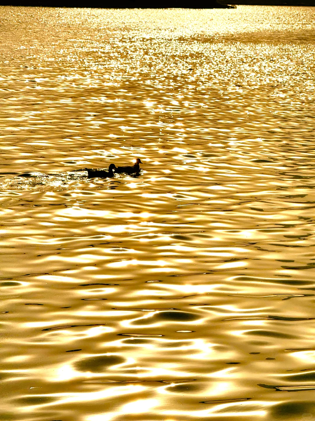 你我都一样，人生都是因为一些瞬间而发光?