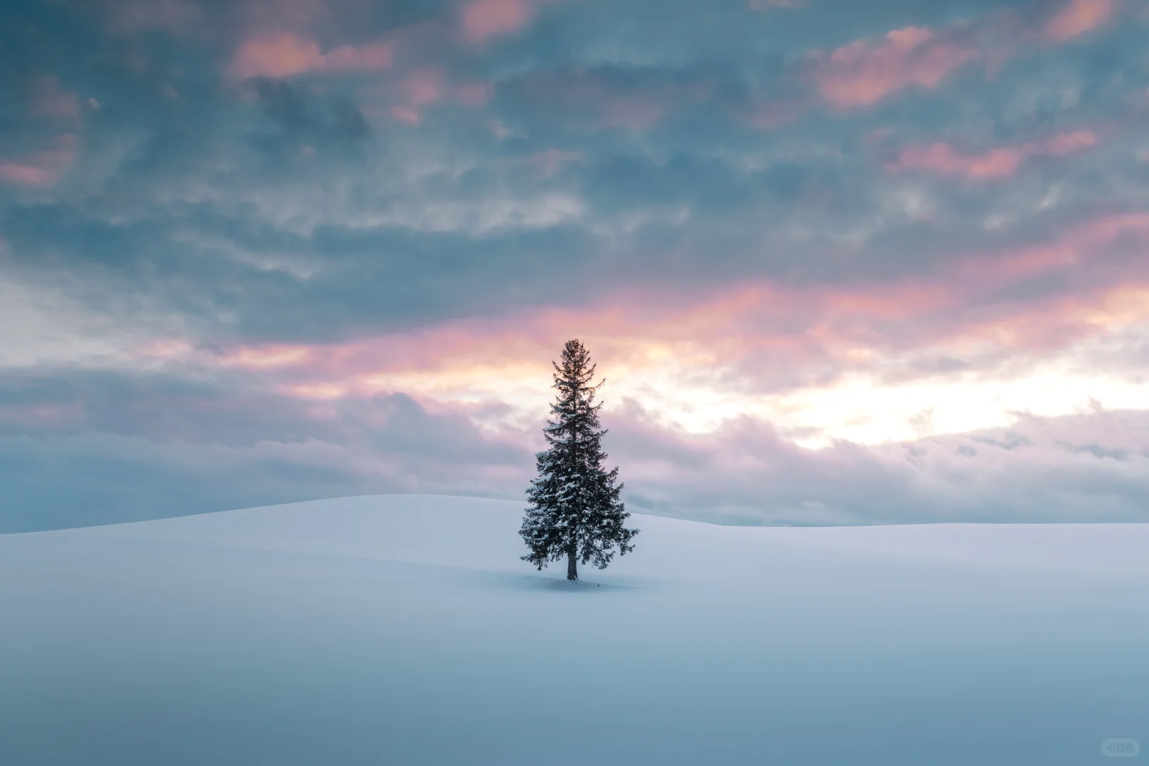 一年一度，圣诞快乐?