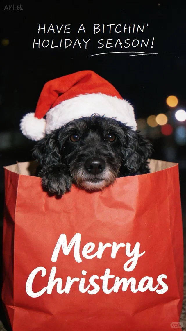我家宠物的圣诞照 哈基米也要过圣诞