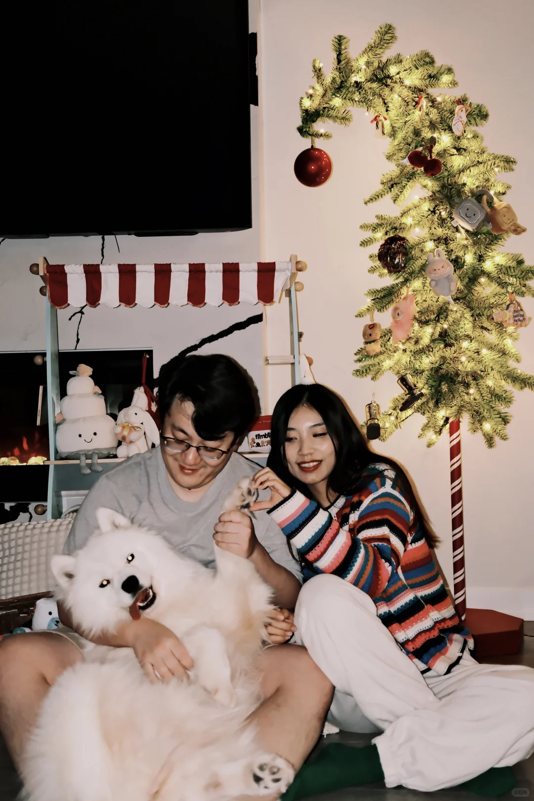 和ee炫耀，小狗也有歪脖子圣诞树啦?