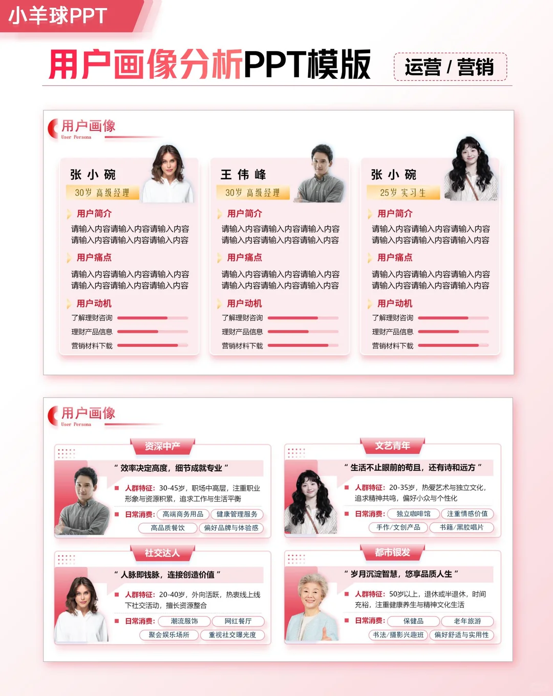 个人简介｜用户画像分析PPT模版