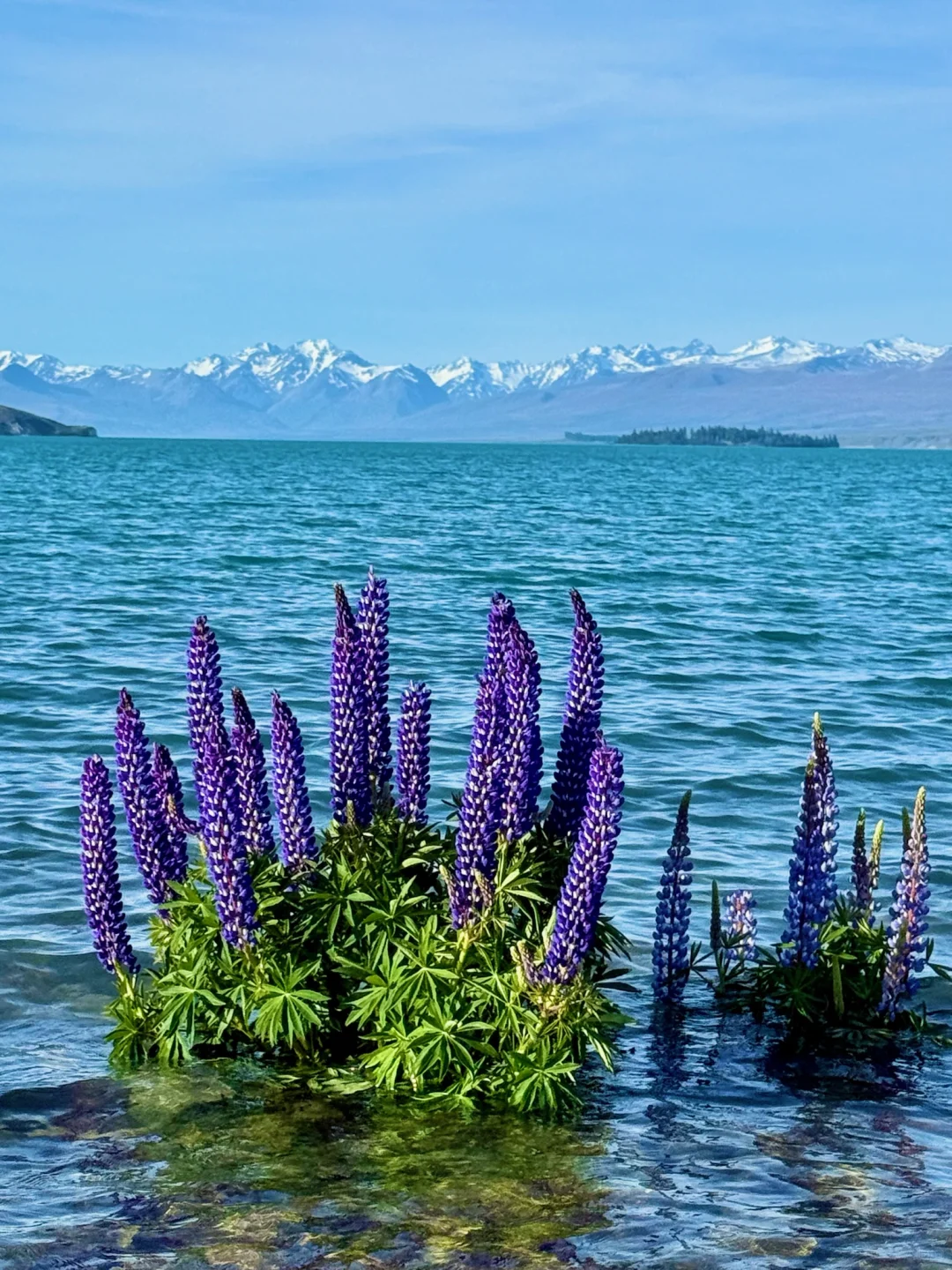 你我都一样，人生都是因为一些瞬间而发光?