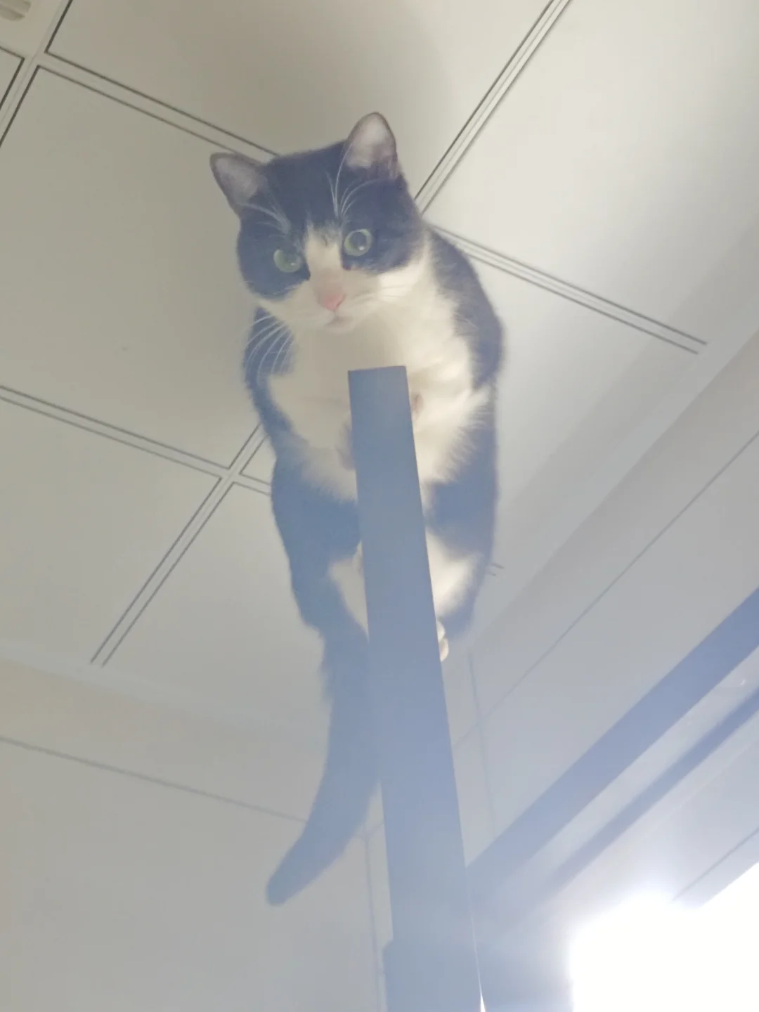 谢谢你我的孩子