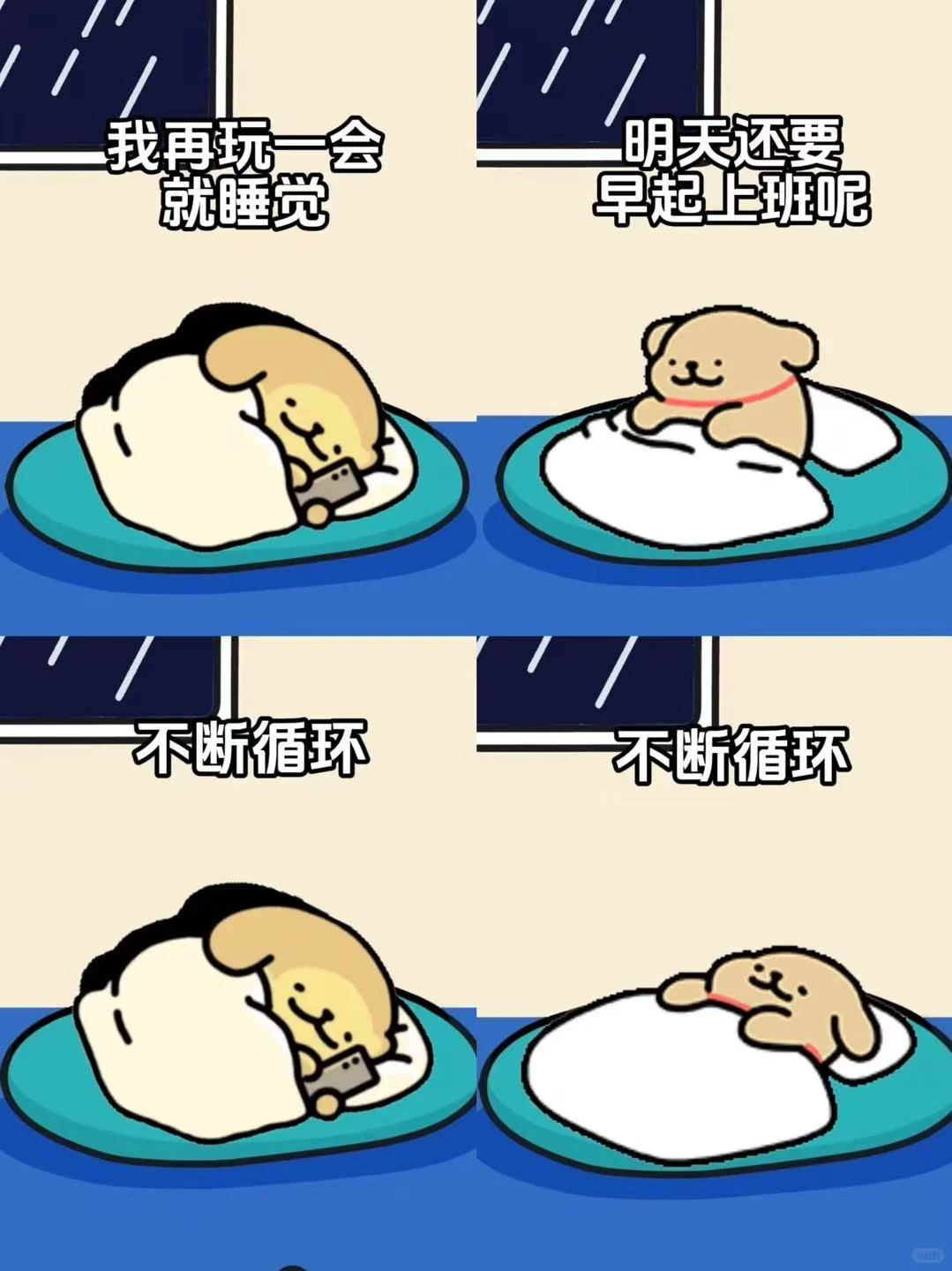 和小白相遇，是鸡毛最大的幸运~