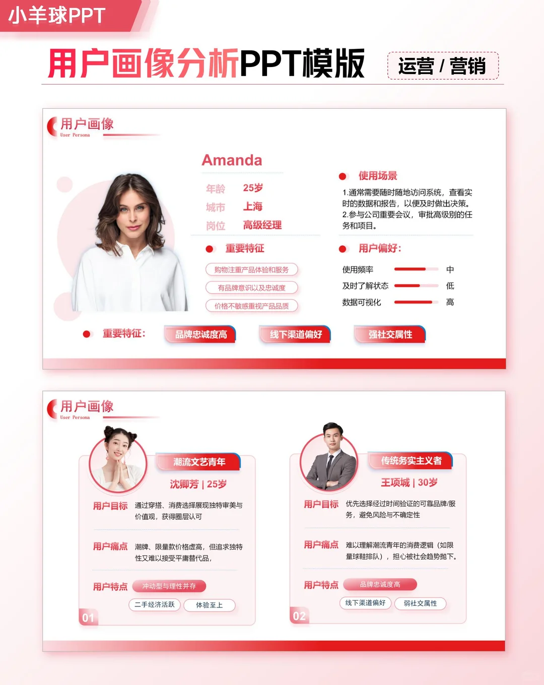 用户画像分析PPT模版，领导看了都夸！