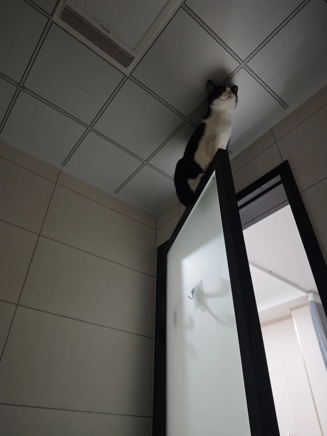 谢谢你我的孩子