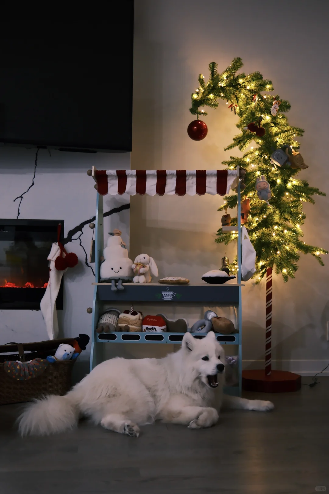 和ee炫耀，小狗也有歪脖子圣诞树啦?