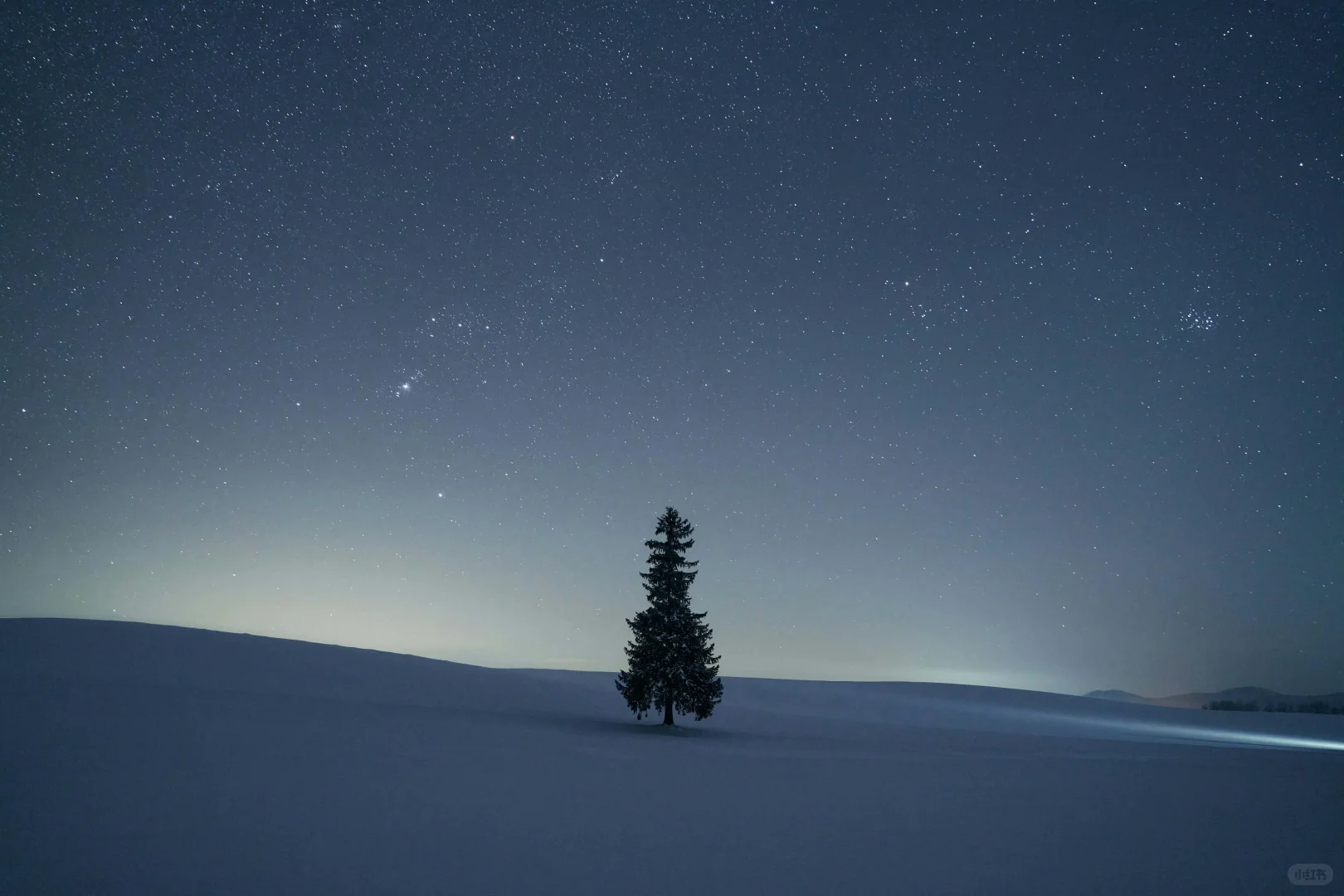 一年一度，圣诞快乐?