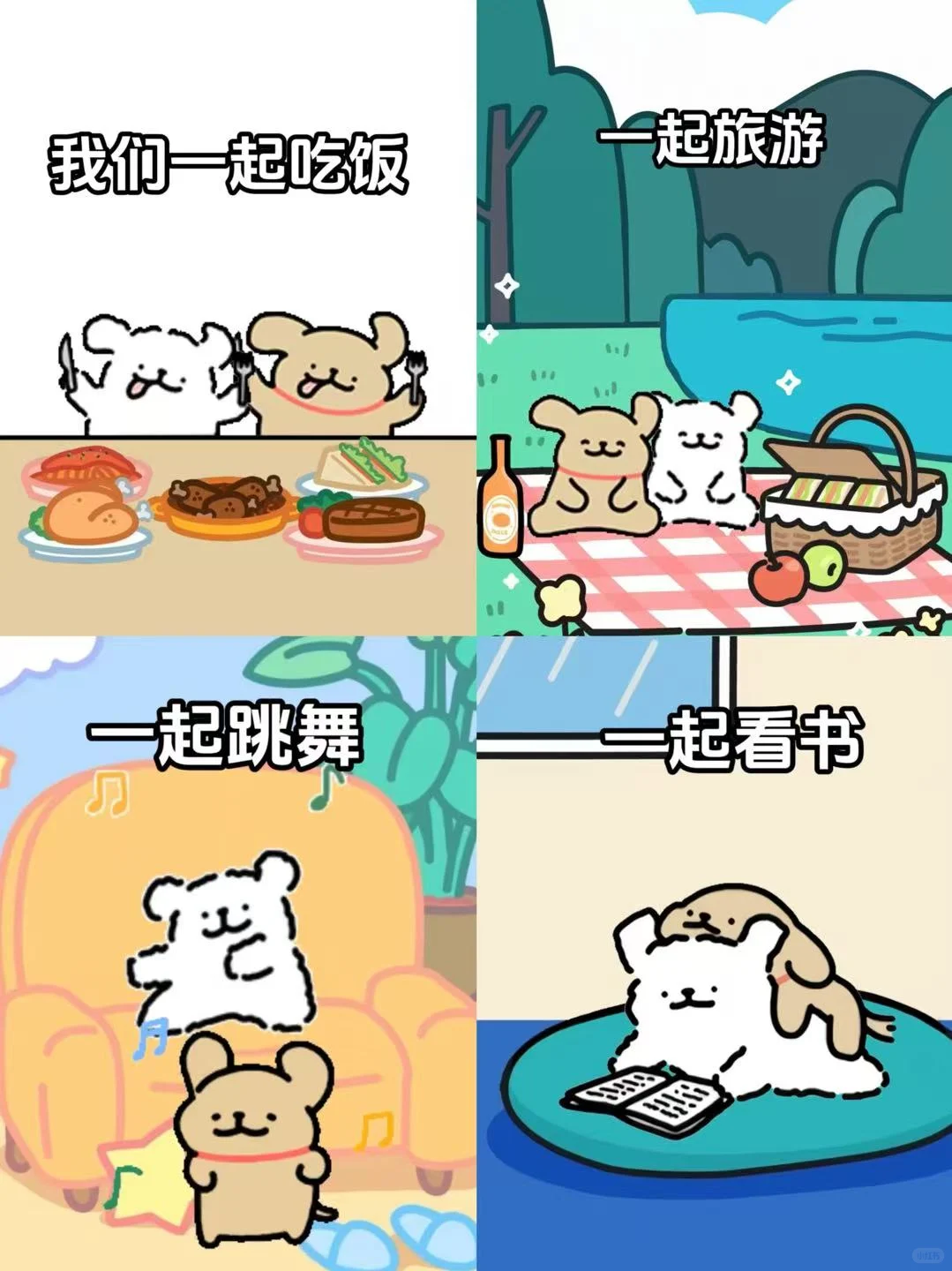 和小白相遇，是鸡毛最大的幸运~