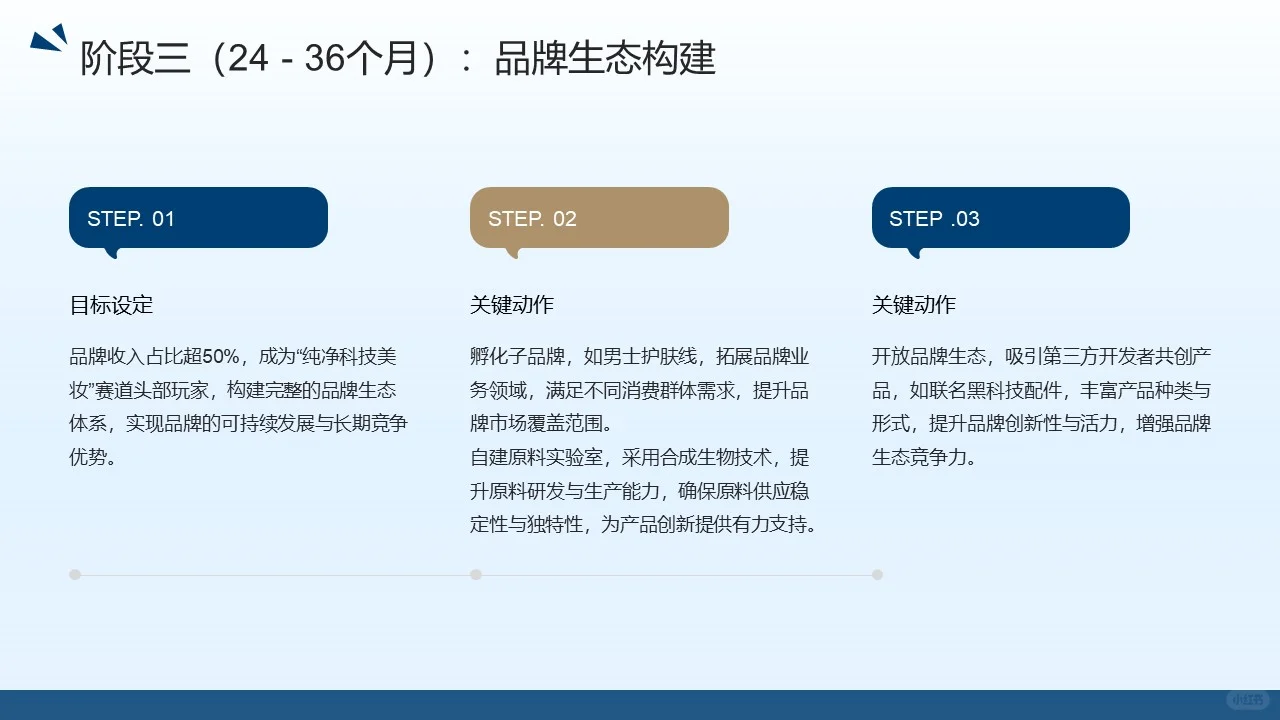 广东某某化妆品有限公司商业模式重构