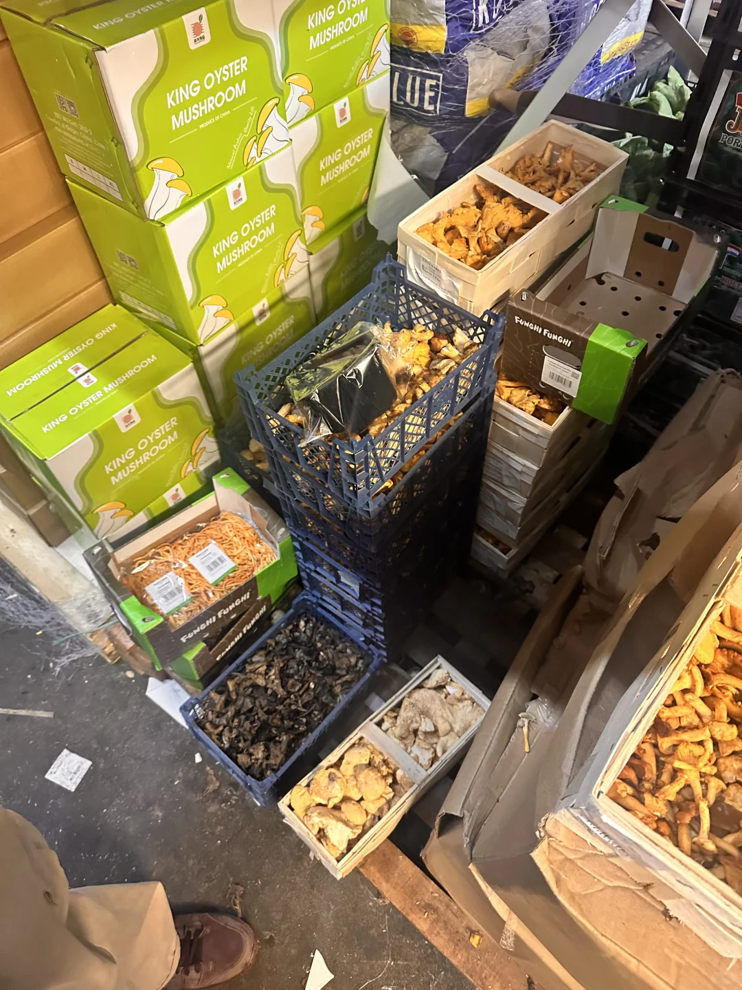 🇬🇧 20镑四拼菌子的快乐