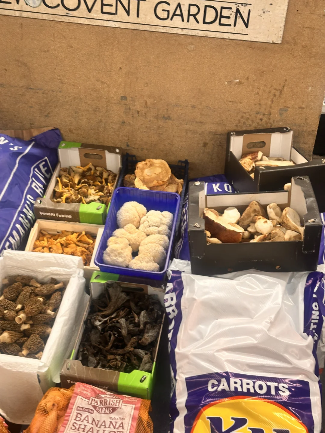 🇬🇧 20镑四拼菌子的快乐