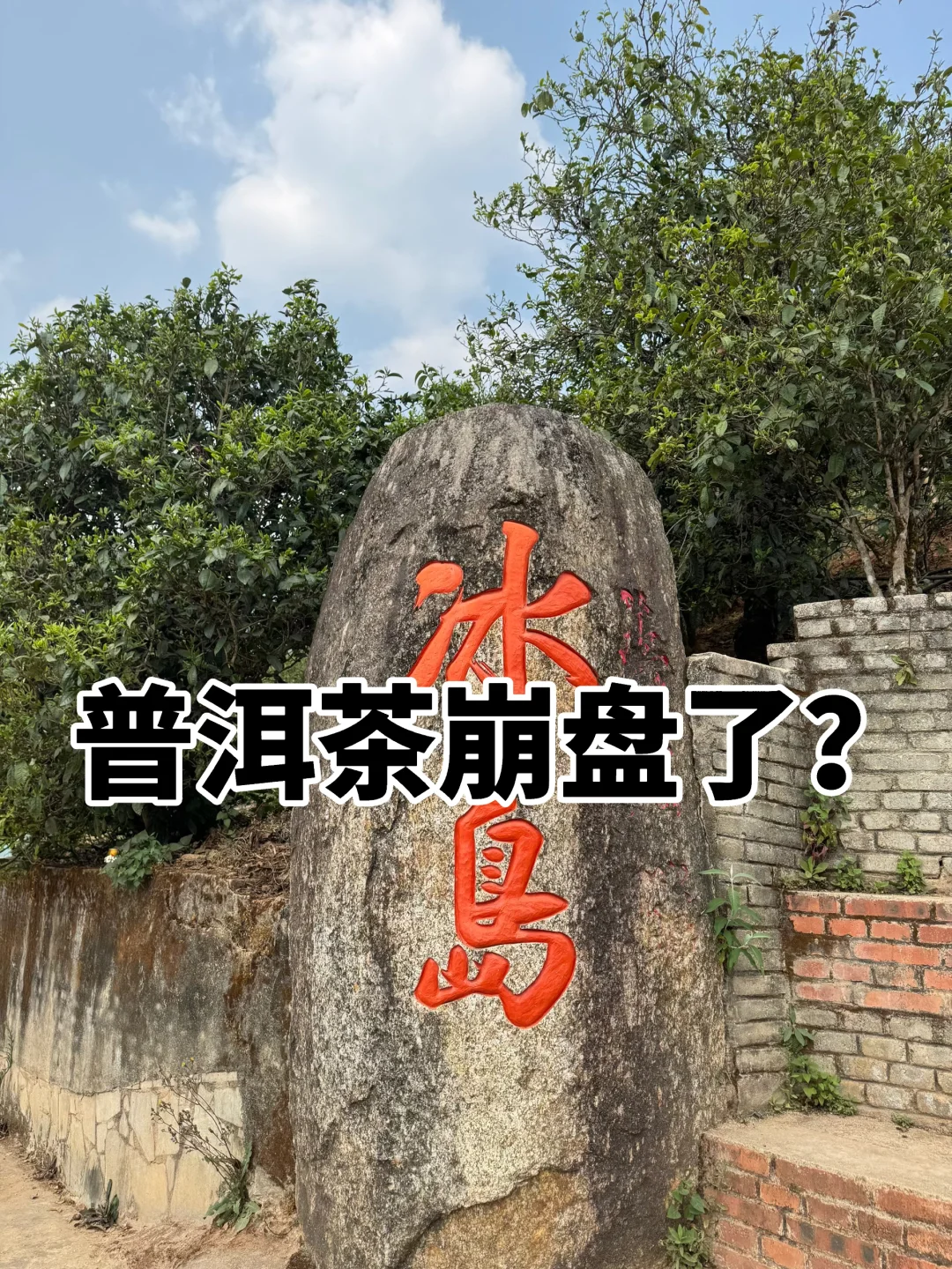 普洱茶崩盘了？